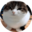 givemoneypls.pages.dev favicon